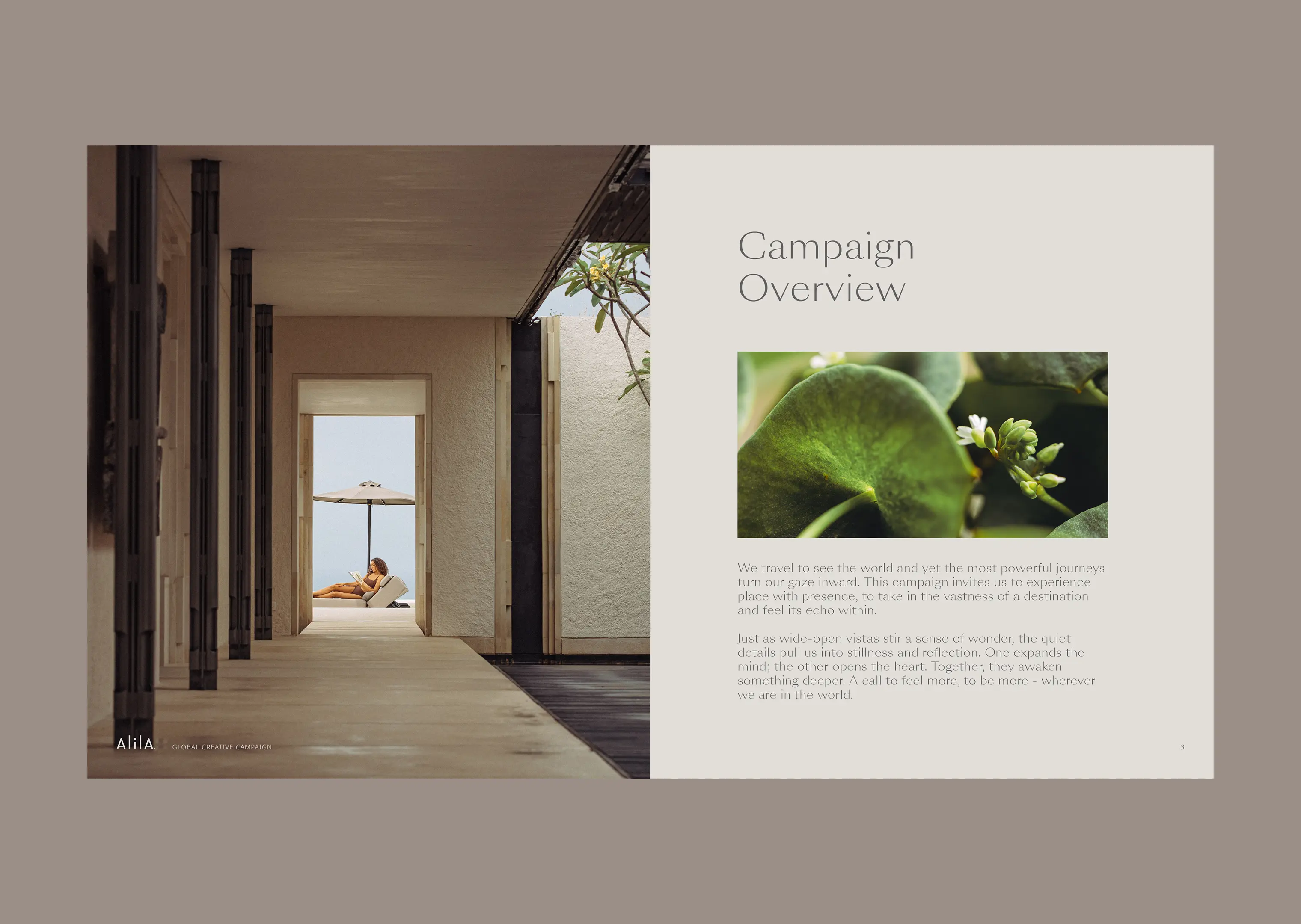 Alila campaign