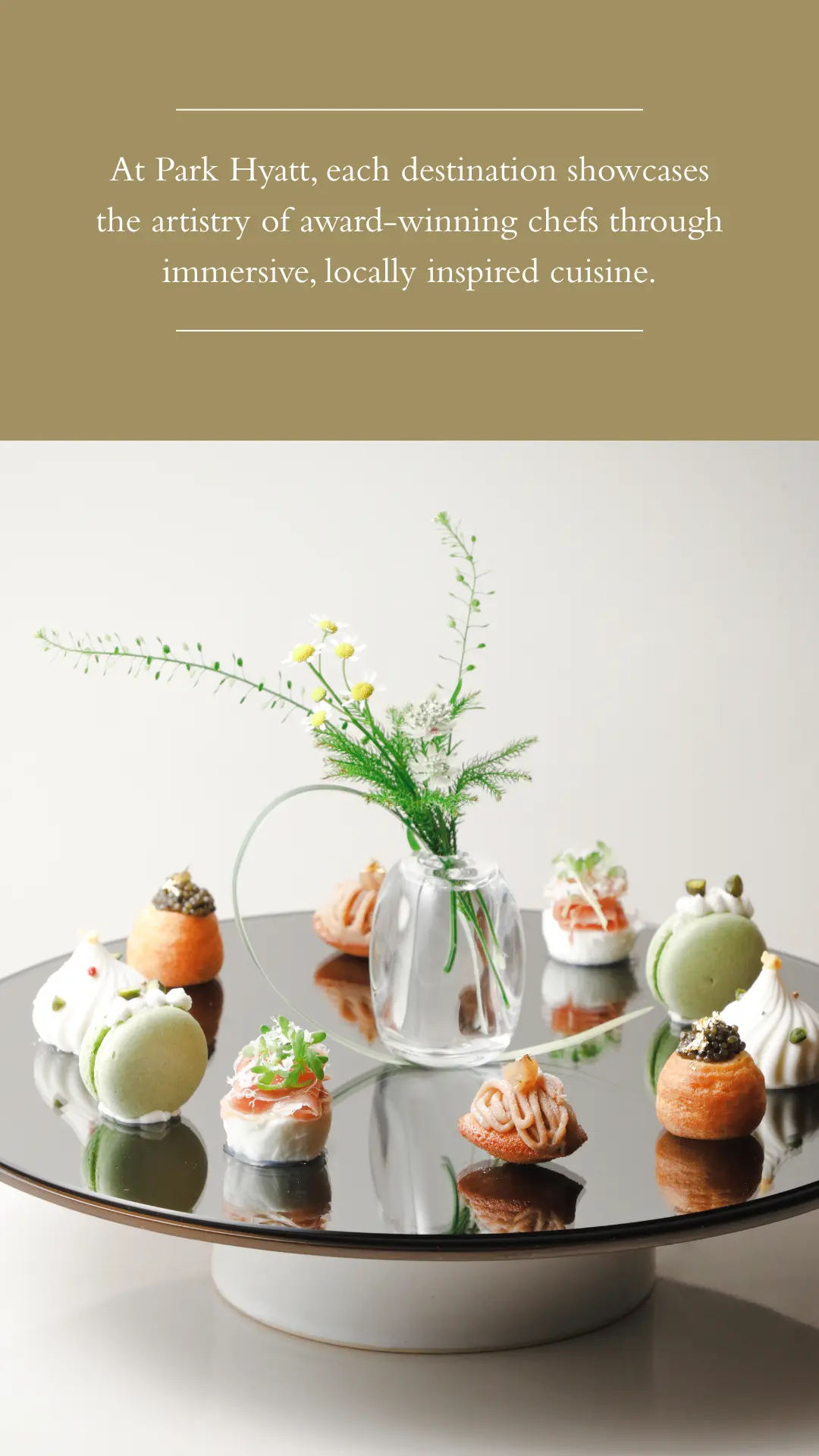 Park Hyatt culinary artistry